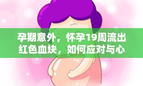 孕期意外，懷孕19周流出紅色血塊，如何應(yīng)對(duì)與心理調(diào)適？