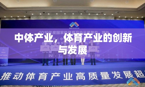中體產(chǎn)業(yè)，體育產(chǎn)業(yè)的創(chuàng)新與發(fā)展