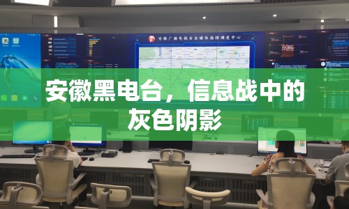 安徽黑電臺(tái)，信息戰(zhàn)中的灰色陰影