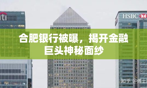 合肥銀行被曝，揭開金融巨頭神秘面紗