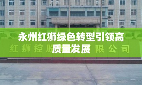 永州紅獅綠色轉(zhuǎn)型引領(lǐng)高質(zhì)量發(fā)展