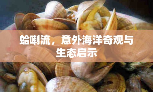 蛤喇流，意外海洋奇觀與生態(tài)啟示