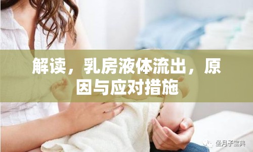 解讀，乳房液體流出，原因與應(yīng)對措施
