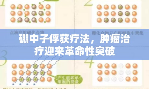 硼中子俘獲療法，腫瘤治療迎來革命性突破
