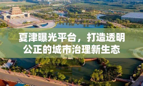 夏津曝光平臺，打造透明公正的城市治理新生態(tài)