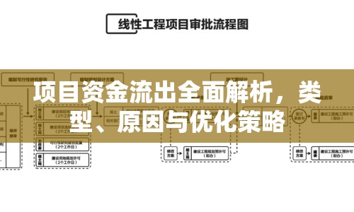 項目資金流出全面解析，類型、原因與優(yōu)化策略