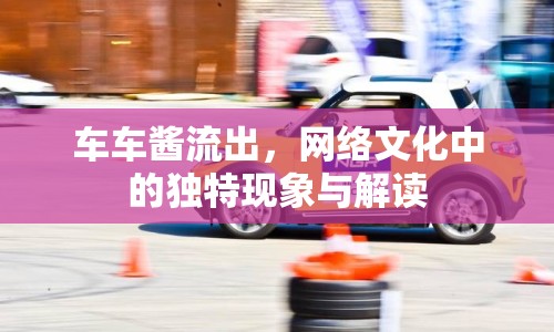 車車醬流出，網(wǎng)絡(luò)文化中的獨特現(xiàn)象與解讀