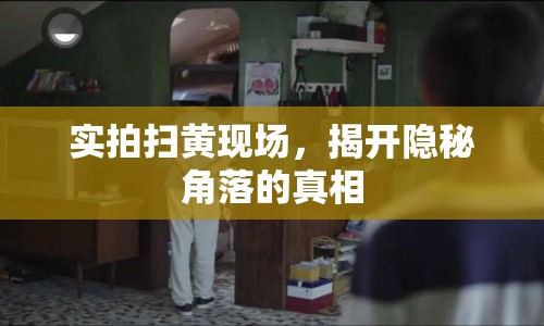 實(shí)拍掃黃現(xiàn)場，揭開隱秘角落的真相