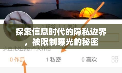 探索信息時(shí)代的隱私邊界，被限制曝光的秘密