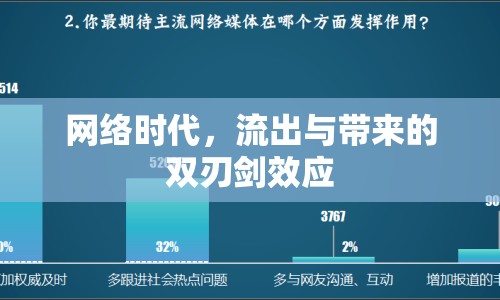 網(wǎng)絡(luò)時(shí)代，流出與帶來(lái)的雙刃劍效應(yīng)