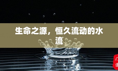 生命之源，恒久流動的水流