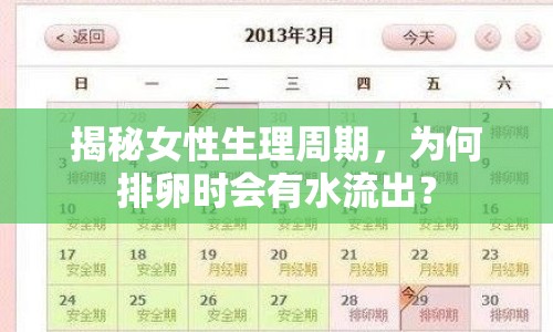 揭秘女性生理周期，為何排卵時(shí)會(huì)有水流出？