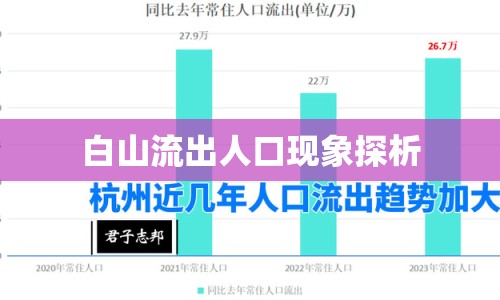 白山流出人口現(xiàn)象探析
