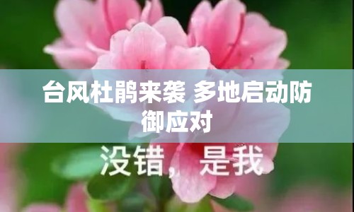 臺(tái)風(fēng)杜鵑來(lái)襲 多地啟動(dòng)防御應(yīng)對(duì)