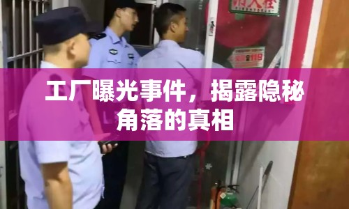 工廠曝光事件，揭露隱秘角落的真相