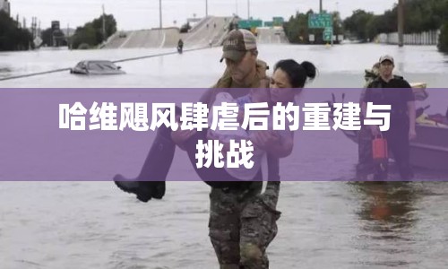 哈維颶風(fēng)肆虐后的重建與挑戰(zhàn)