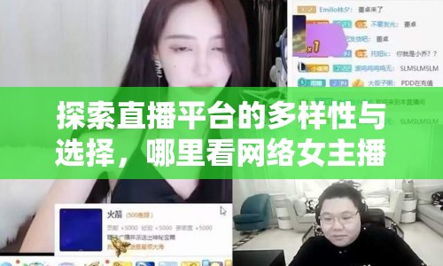 探索直播平臺的多樣性與選擇，哪里看網絡女主播視頻？