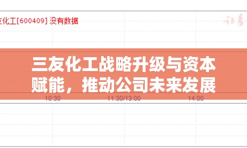 三友化工戰(zhàn)略升級與資本賦能，推動(dòng)公司未來發(fā)展