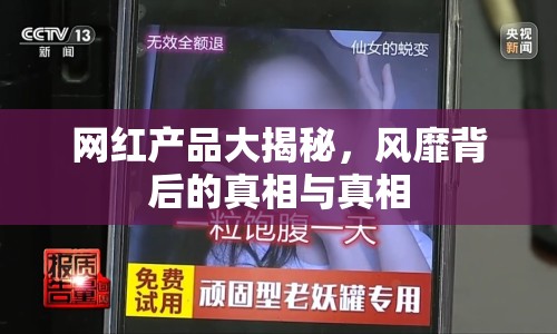 網(wǎng)紅產(chǎn)品大揭秘，風(fēng)靡背后的真相與真相