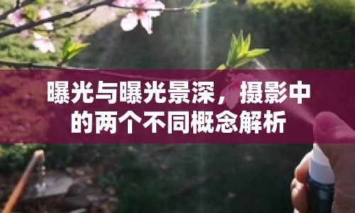 曝光與曝光景深，攝影中的兩個(gè)不同概念解析