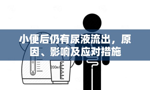 小便后仍有尿液流出，原因、影響及應(yīng)對措施
