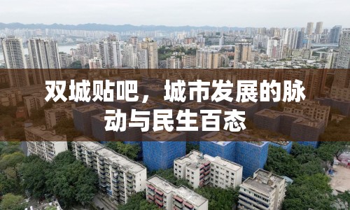 雙城貼吧，城市發(fā)展的脈動(dòng)與民生百態(tài)