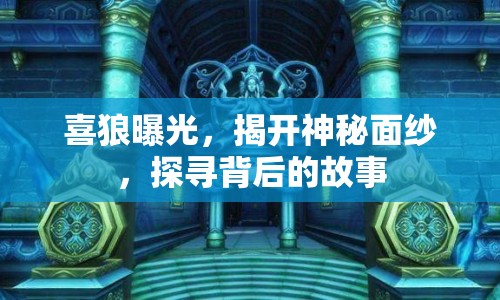 喜狼曝光，揭開神秘面紗，探尋背后的故事