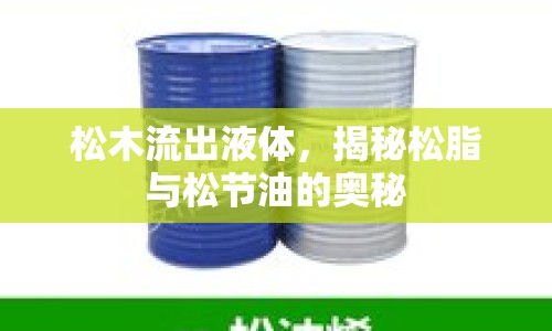 松木流出液體，揭秘松脂與松節(jié)油的奧秘