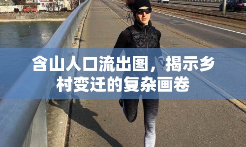 含山人口流出圖，揭示鄉(xiāng)村變遷的復(fù)雜畫卷