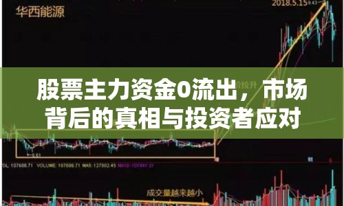 股票主力資金0流出，市場背后的真相與投資者應(yīng)對策略