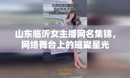 山東臨沂女主播網(wǎng)名集錦，網(wǎng)絡舞臺上的璀璨星光