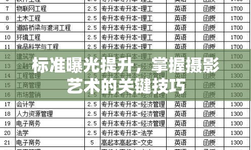 標準曝光提升，掌握攝影藝術的關鍵技巧