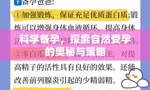 科學(xué)備孕，探索自然受孕的奧秘與策略