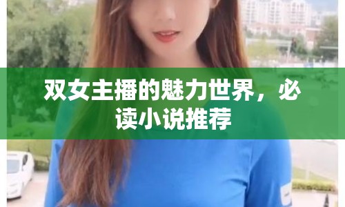 雙女主播的魅力世界，必讀小說推薦