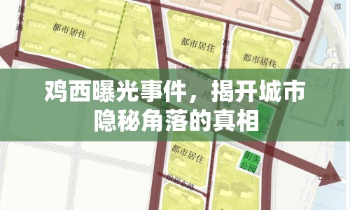 雞西曝光事件，揭開(kāi)城市隱秘角落的真相