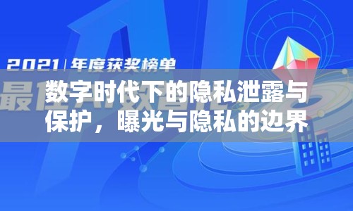 數(shù)字時(shí)代下的隱私泄露與保護(hù)，曝光與隱私的邊界