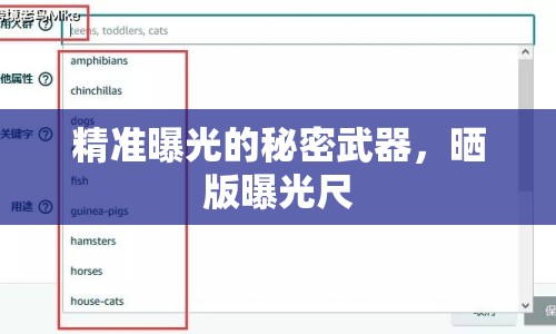 精準(zhǔn)曝光的秘密武器，曬版曝光尺
