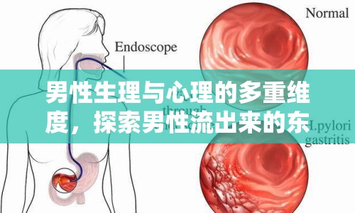 男性生理與心理的多重維度，探索男性流出來的東西