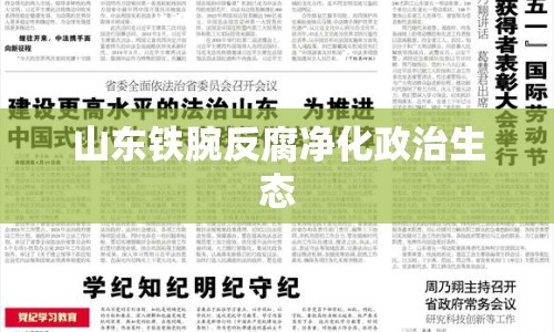 山東鐵腕反腐凈化政治生態(tài)