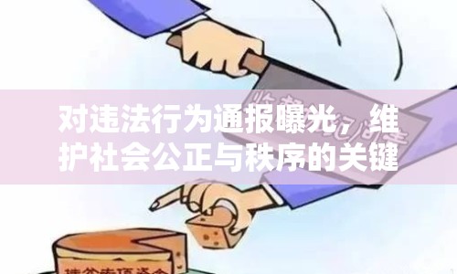 對(duì)違法行為通報(bào)曝光，維護(hù)社會(huì)公正與秩序的關(guān)鍵一步