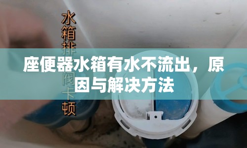 座便器水箱有水不流出，原因與解決方法