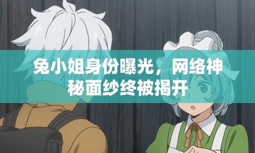 兔小姐身份曝光，網(wǎng)絡(luò)神秘面紗終被揭開