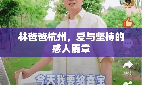 林爸爸杭州，愛與堅持的感人篇章