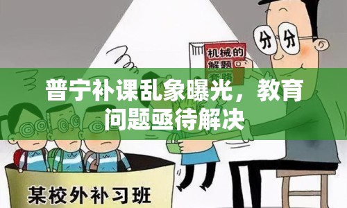 普寧補課亂象曝光，教育問題亟待解決