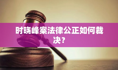 時曉峰案法律公正如何裁決？