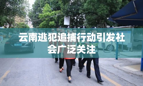 云南逃犯追捕行動引發(fā)社會廣泛關(guān)注