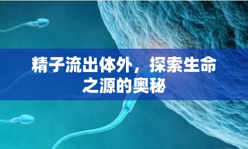 精子流出體外，探索生命之源的奧秘