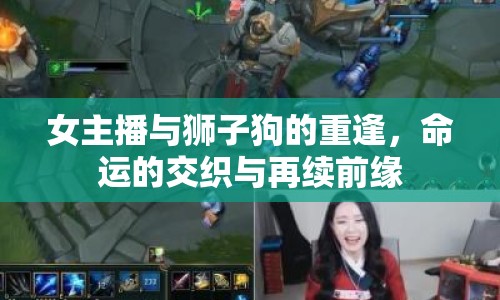 女主播與獅子狗的重逢，命運(yùn)的交織與再續(xù)前緣