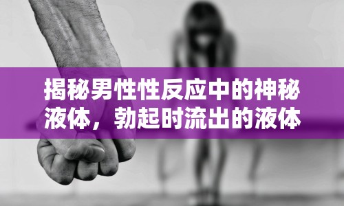 揭秘男性性反應中的神秘液體，勃起時流出的液體全解析