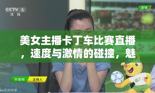 美女主播卡丁車比賽直播，速度與激情的碰撞，魅力與技術(shù)的展現(xiàn)